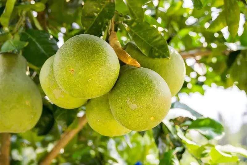 美丽江西永新山清水秀好风光,江西永新自然风景