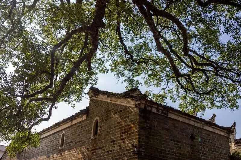 美丽江西永新山清水秀好风光,江西永新自然风景