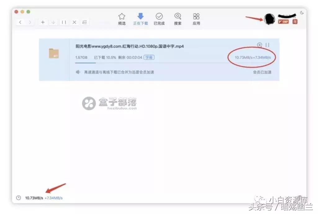 迅雷永久会员版forMac破解版免费使用会员离线加速功能