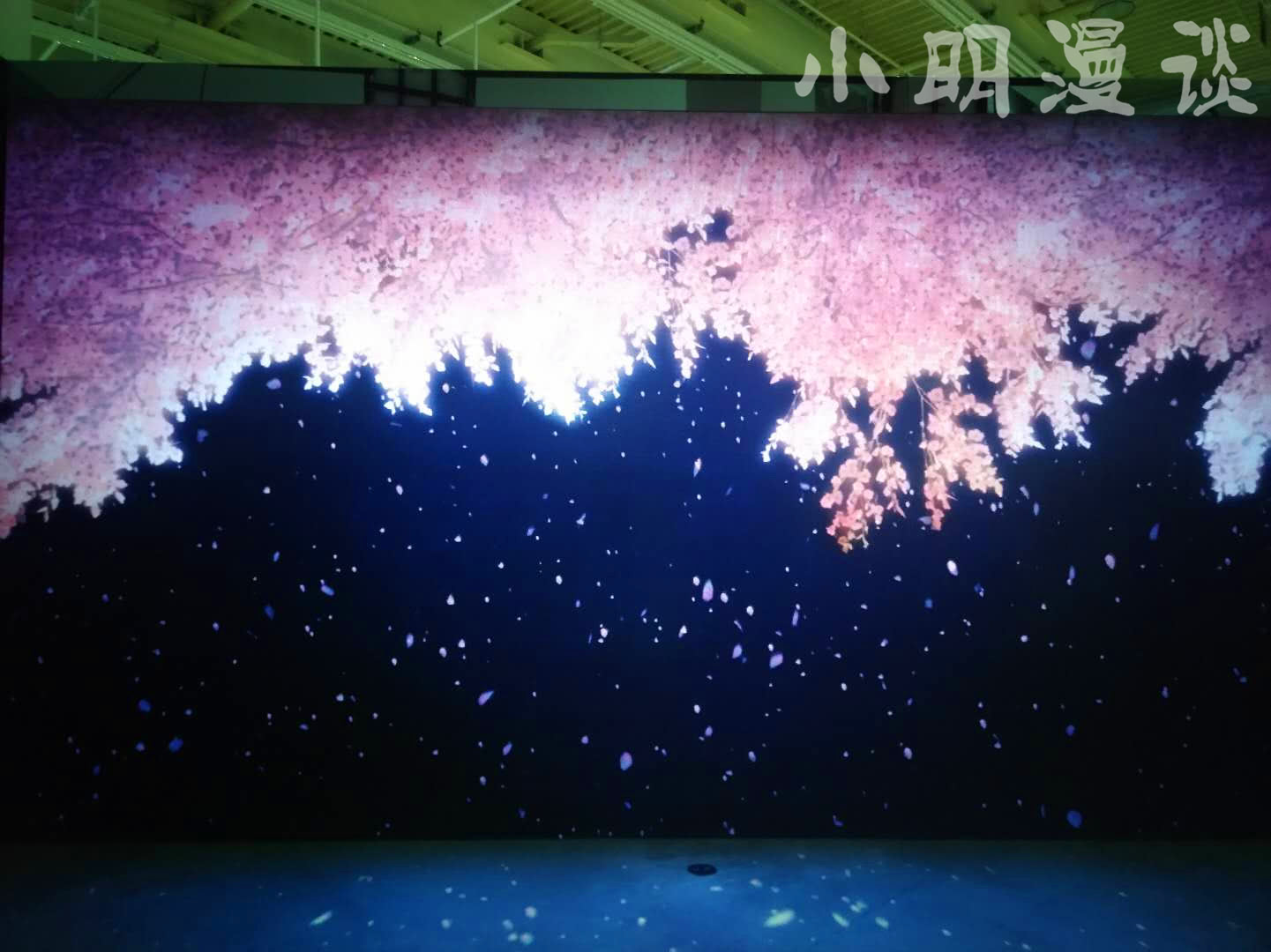 新海诚首映时间,上海新海诚展