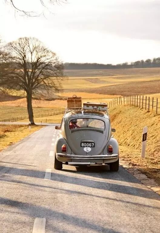 拿着攒下的3万块，买了张去曼谷的单程机票，开始了段崭新的人生