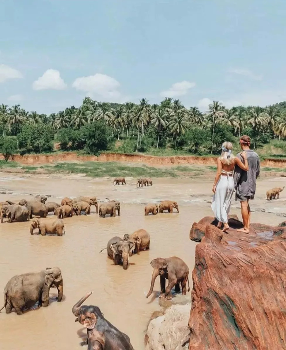 拿着攒下的3万块，买了张去曼谷的单程机票，开始了段崭新的人生