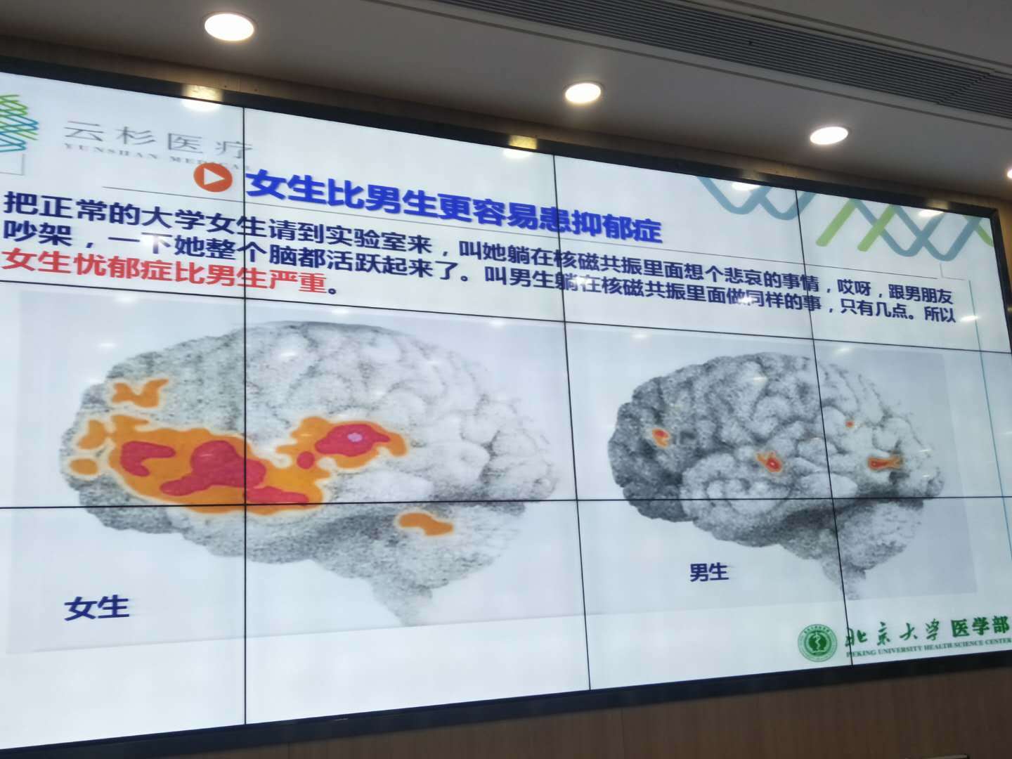 洪兰教授男女大脑思维差异完整版,洪兰教授男女大脑思维差异