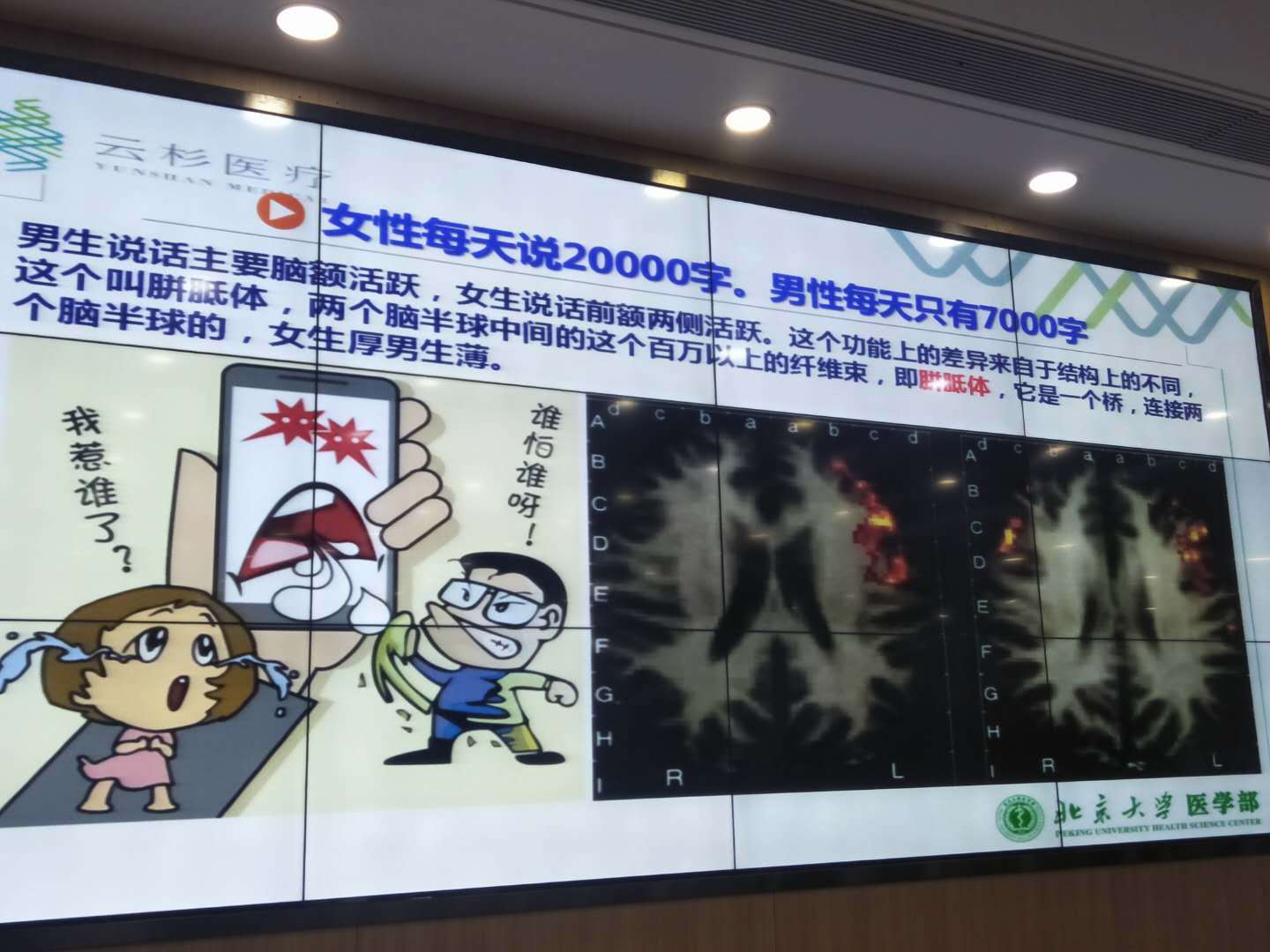 洪兰教授男女大脑思维差异完整版,洪兰教授男女大脑思维差异