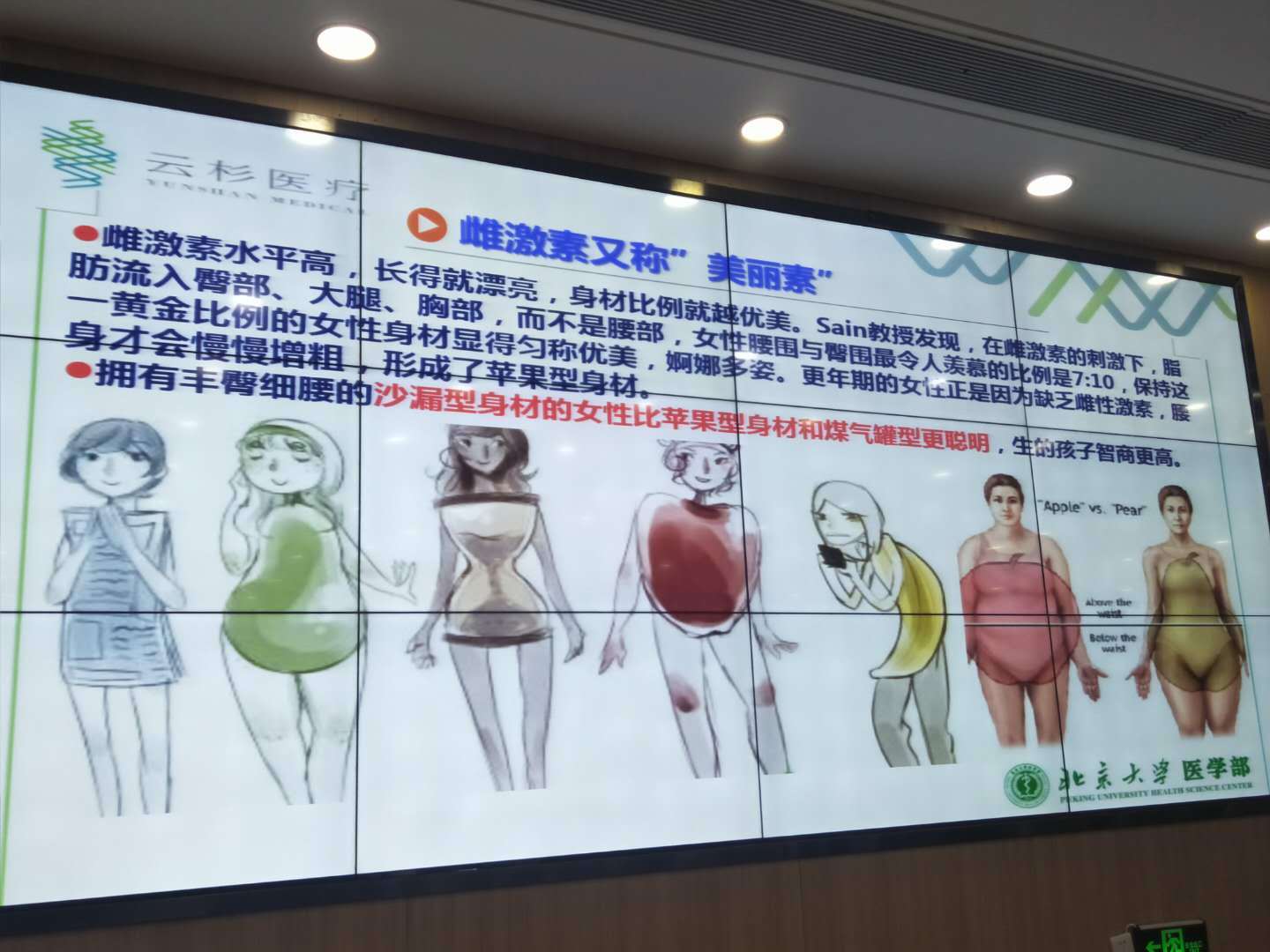 洪兰教授男女大脑思维差异完整版,洪兰教授男女大脑思维差异
