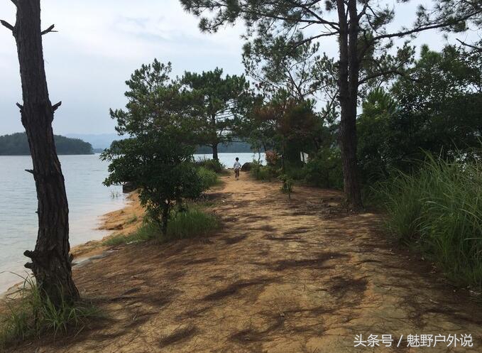 广东河源万绿湖哪里来的,广东省河源万绿湖