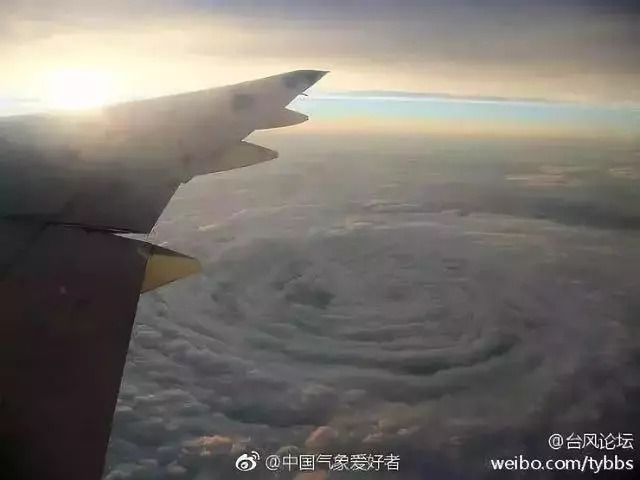 为什么说山竹可以抗风,关于山竹的四大谣言