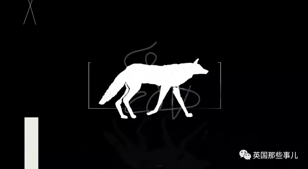 把狼驯化成牧羊犬,能把狼驯化成狗吗