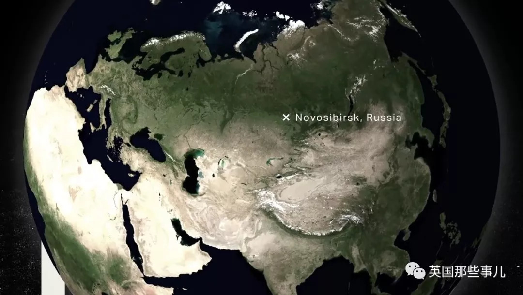 把狼驯化成牧羊犬,能把狼驯化成狗吗