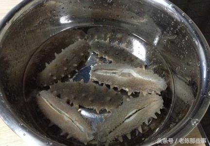 干海参的家常做法怎样泡发快速,干海参正确做法家常版视频