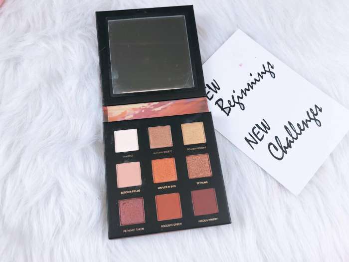 有鱼严选个体店,一盘多用的眼影盘推荐平价