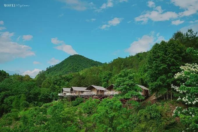 白鹤山庄武侠,白鹤山庄有什么玩的