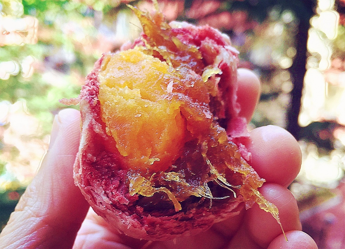 淘宝好吃的蛋黄酥推荐,测评淘宝蛋黄酥20块钱30个