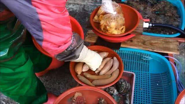 韩国海鲜市场海参价格,去海鲜市场买海参