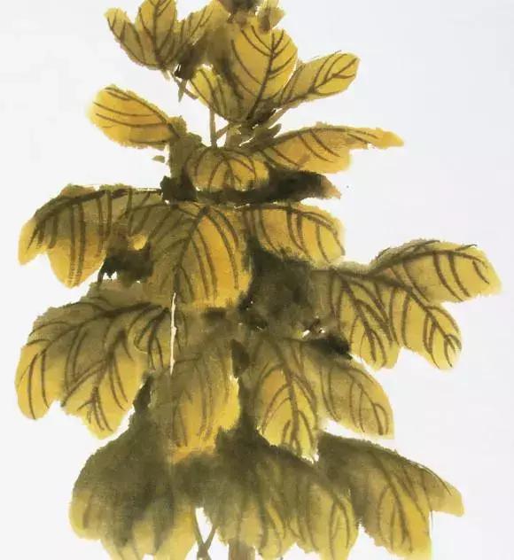 国画牡丹叶子怎样布局,国画牡丹叶子的布局