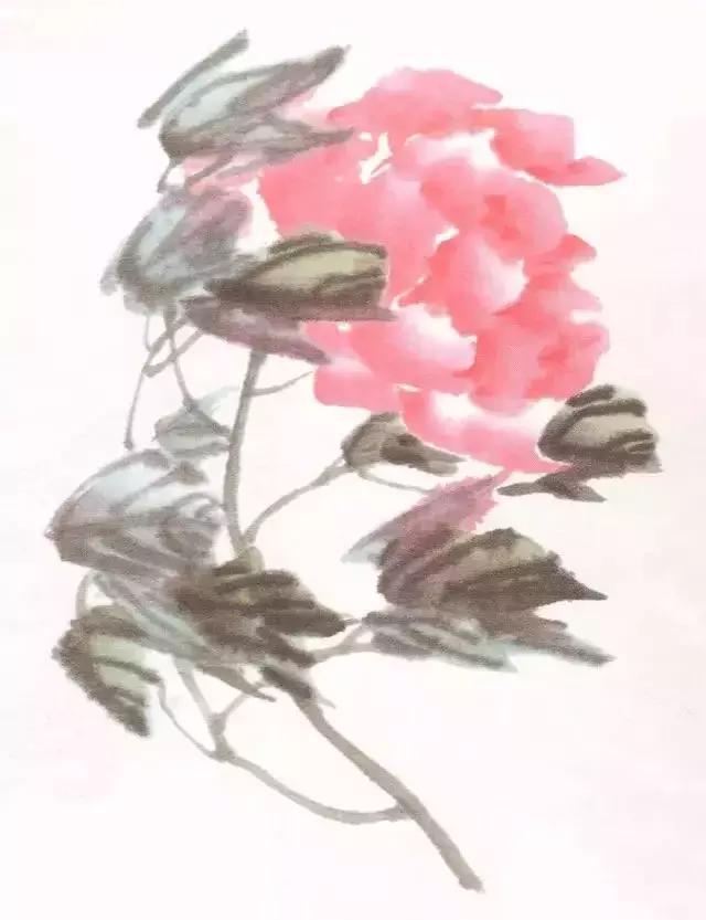 国画牡丹叶子怎样布局,国画牡丹叶子的布局