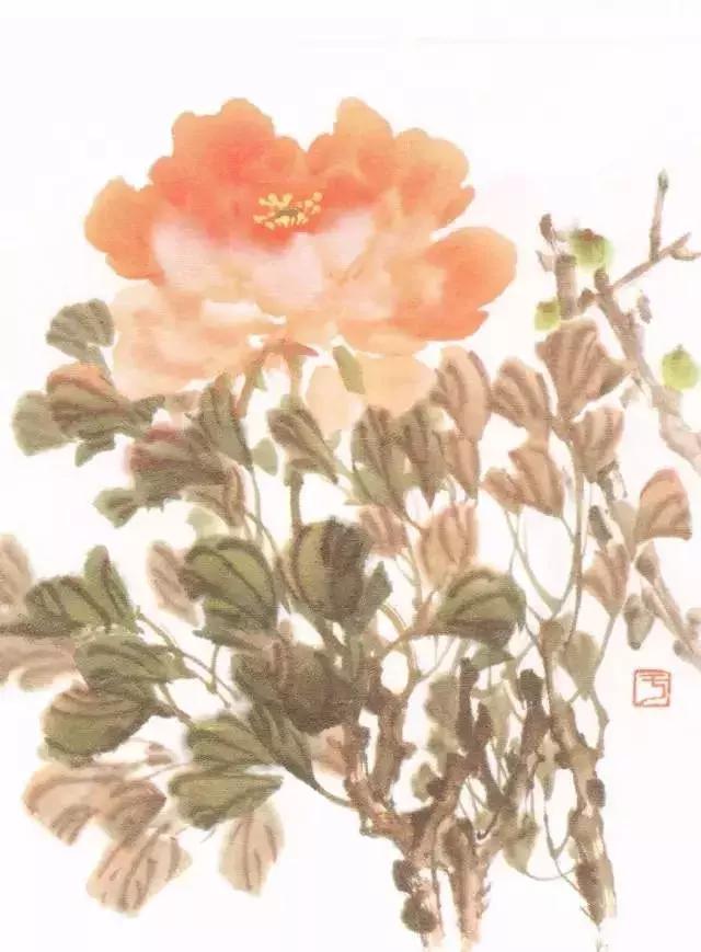 国画牡丹叶子怎样布局,国画牡丹叶子的布局