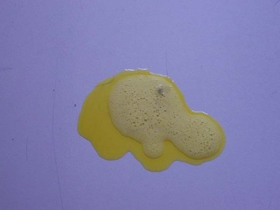 狗狗突然呕吐是什么原因怎么治疗,狗狗呕吐的原因和治疗策略