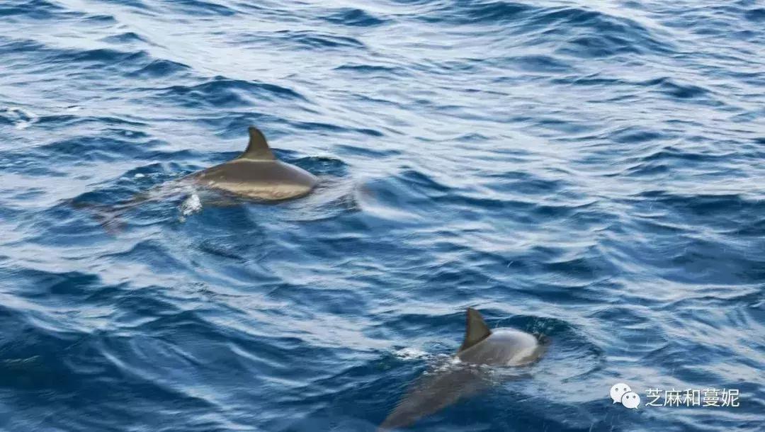 带两个孩子的妈妈去旅行,带两个孩子的妈妈去旅游