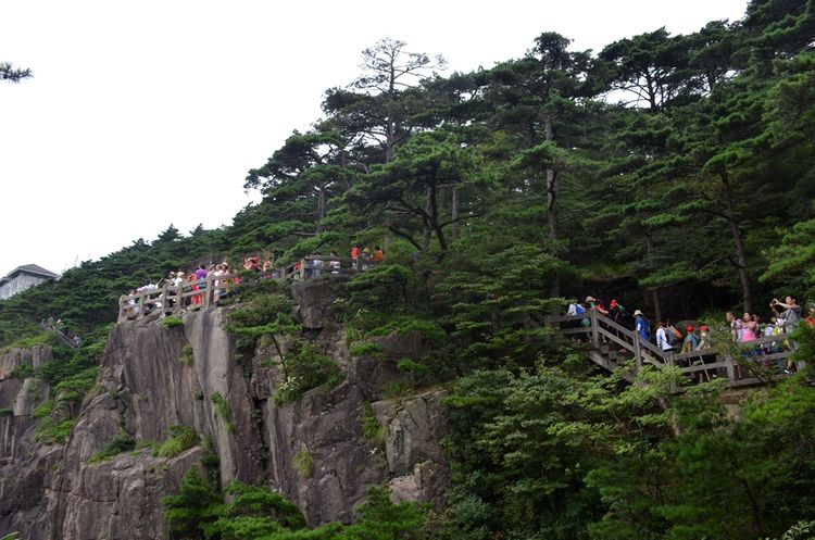 八月的黄山风景,独一无二的一品黄山