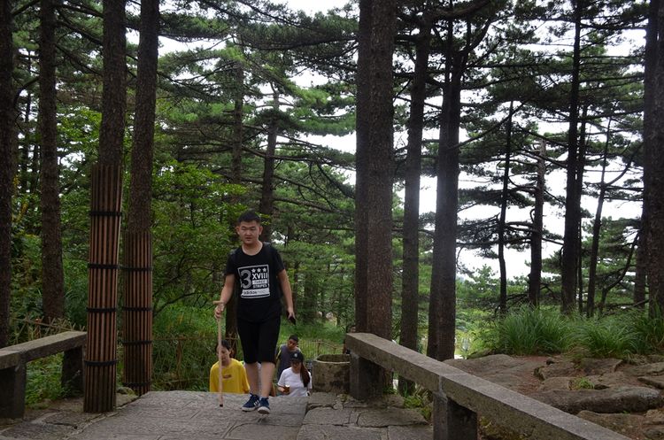 八月的黄山风景,独一无二的一品黄山