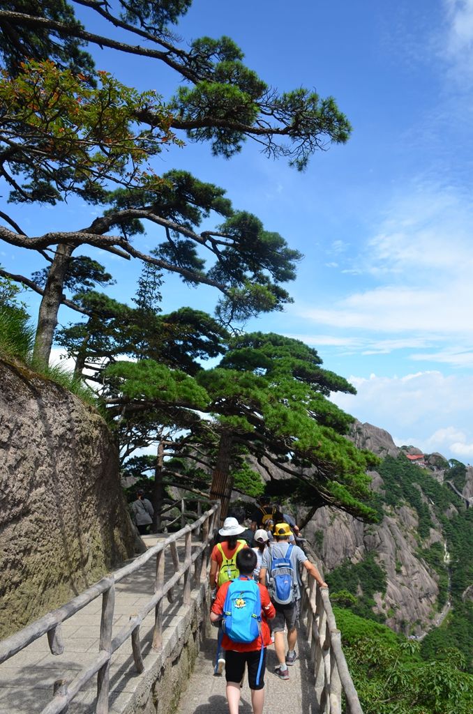 八月的黄山风景,独一无二的一品黄山