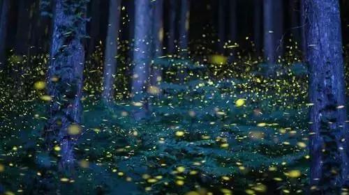 马来西亚沙巴度假海岛,马来西亚的沙巴