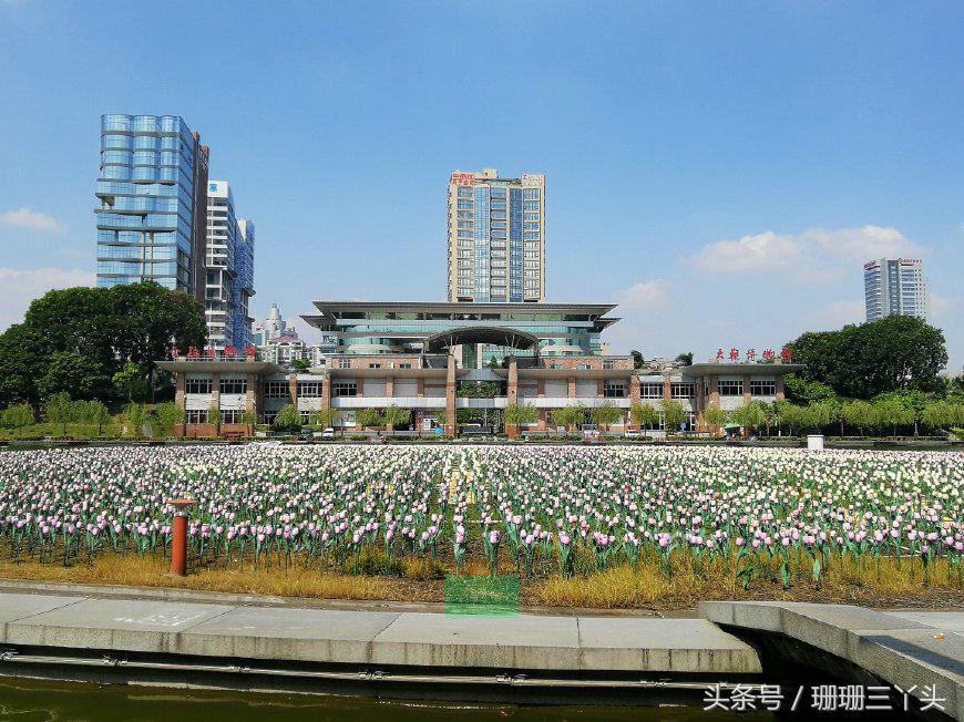 火锅的锅都有哪些,火锅的锅菜是什么菜