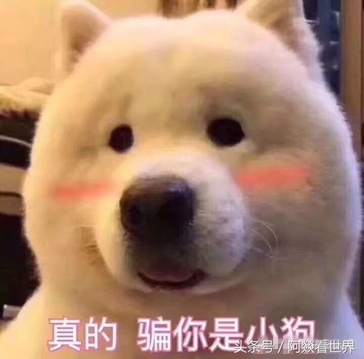 厕所门对卧室门最佳解决方法,卧室门对厕所门最佳化解方法