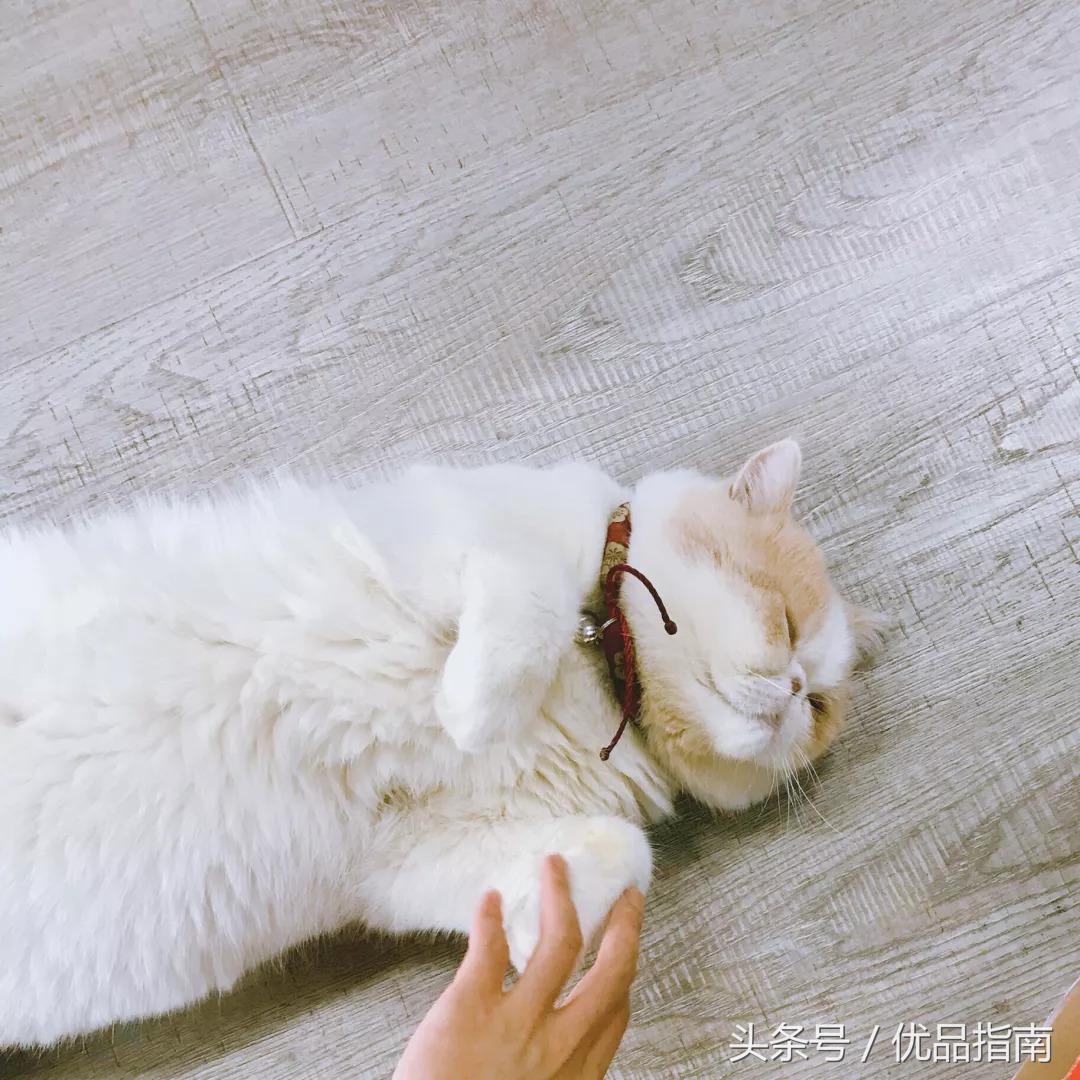 只买对的不买贵的视频,只买对的不买贵品牌