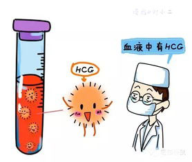 孕妇多久可以看到胎心胎芽,孕妈关注什么