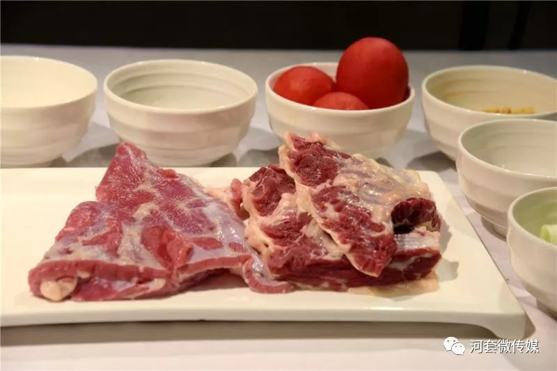 央视纪录片希望的田野,关于内蒙古的纪录片巴彦淖尔市