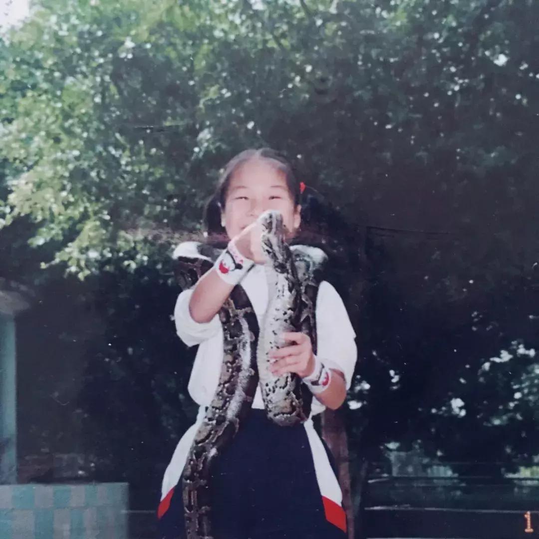 这才是我们眼中的南宁,南宁人说的南宁在哪里