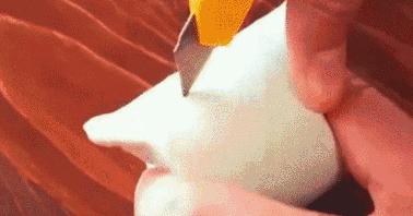 怎么做逗猫神器不用双面胶的,一根羽毛怎么做逗猫神器