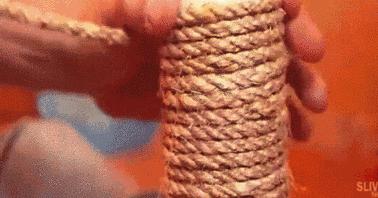 怎么做逗猫神器不用双面胶的,一根羽毛怎么做逗猫神器