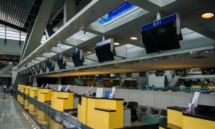 乘坐飞机时托运行李箱有什么规定,飞机托运小动物的流程及注意事项