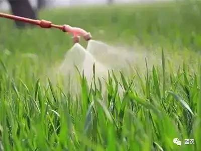 火爆牌草铵膦价格,草铵膦除草剂的优缺点