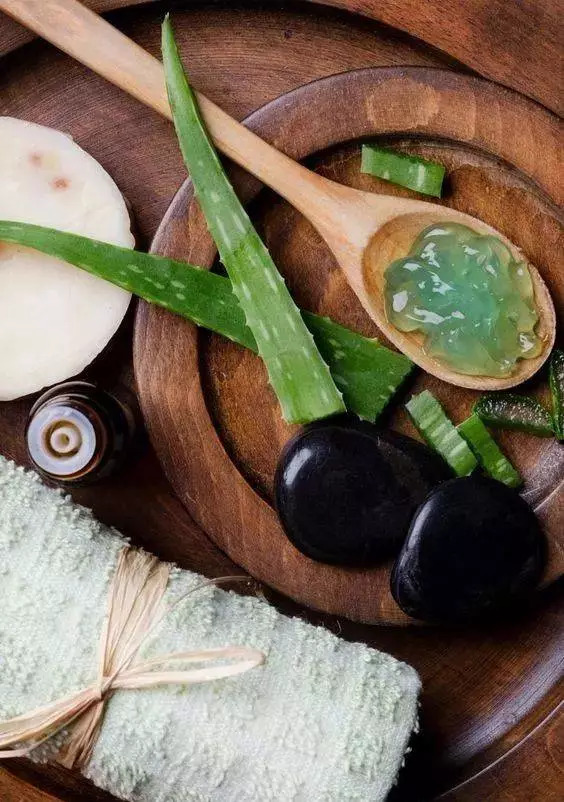 家里养一叶兰的功效,3种花最养人家里养一盆有益健康