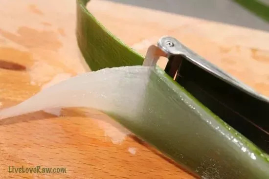 家里养一叶兰的功效,3种花最养人家里养一盆有益健康