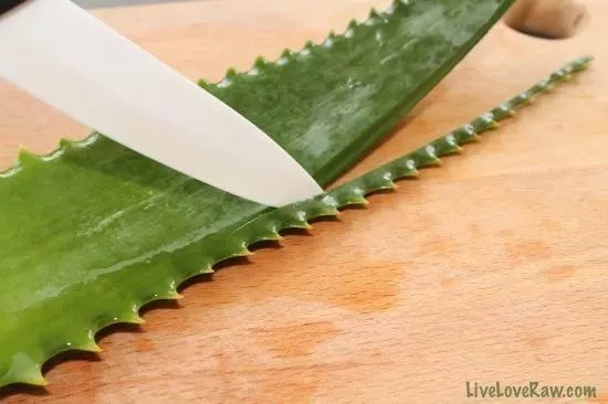 家里养一叶兰的功效,3种花最养人家里养一盆有益健康