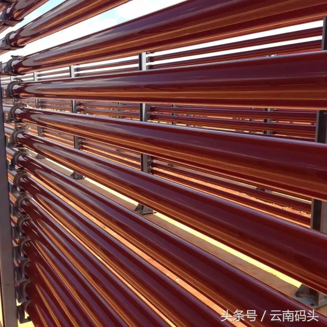 全世界排名前十的虾青素有哪些,厉害了我的国国货黑科技