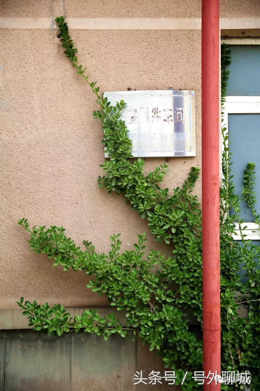 聊城鑫亚公司拆迁最新,聊城老厂搬迁最新消息