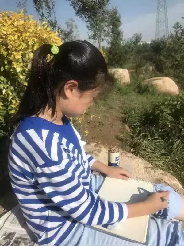 公园路小学转龙藏分校对口初中,公园路小学转龙藏分校教学质量