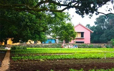 厨师辞职的十大原因,厨师辞职的三大原因