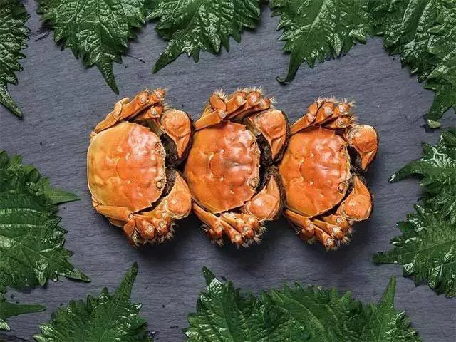 极品鲜阳澄湖大闸蟹,阳澄湖大闸蟹粉