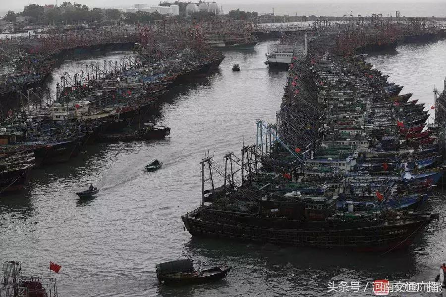 “山竹”过后首个工作日：广东人爬树都要去上班！