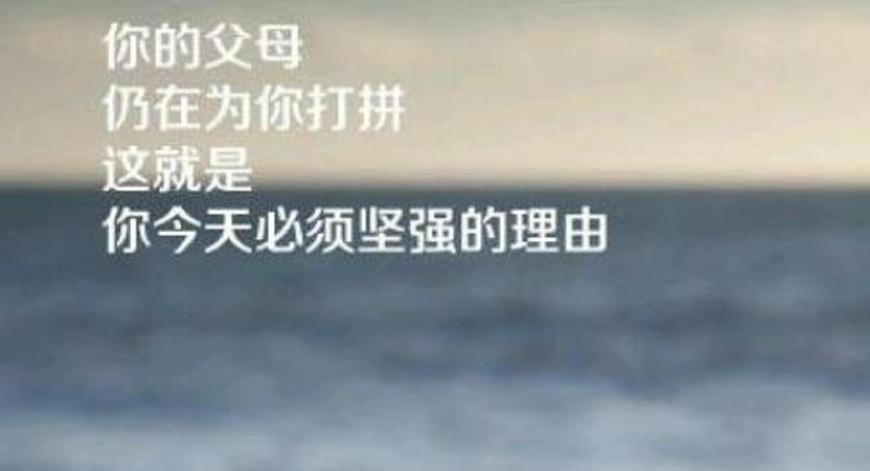 孙子兵法：善战者，致人而不致治于人，攻其所不守，守其所不攻