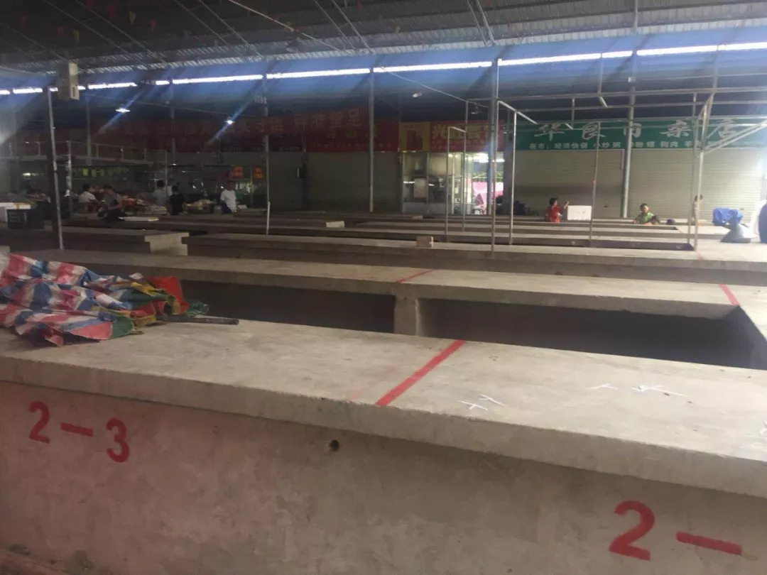 山竹什么时候来到广西,山竹来广西了吗