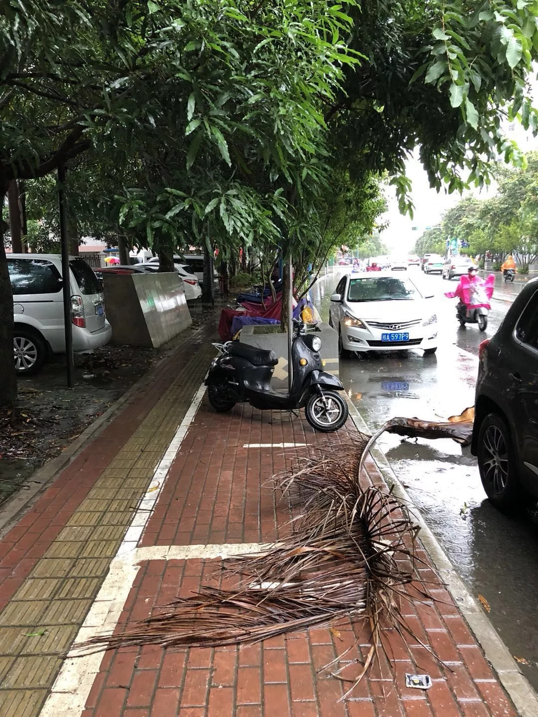 山竹什么时候来到广西,山竹来广西了吗