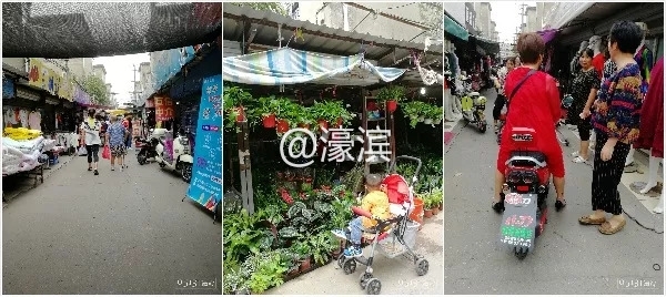 老破小、脏乱差？新桥新村是这样吗？